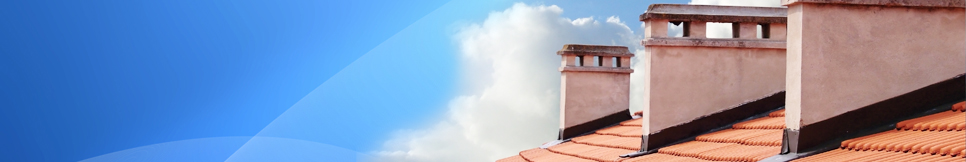 Banner - Heinz Allers